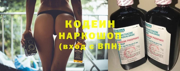 индика Абинск