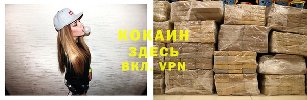 дурь Алексин