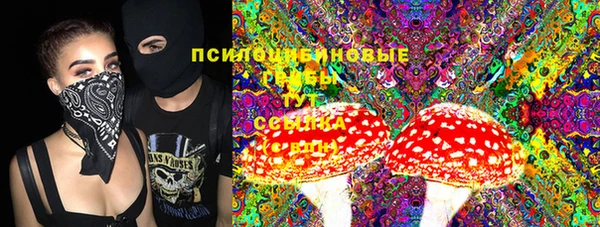 a pvp Алзамай